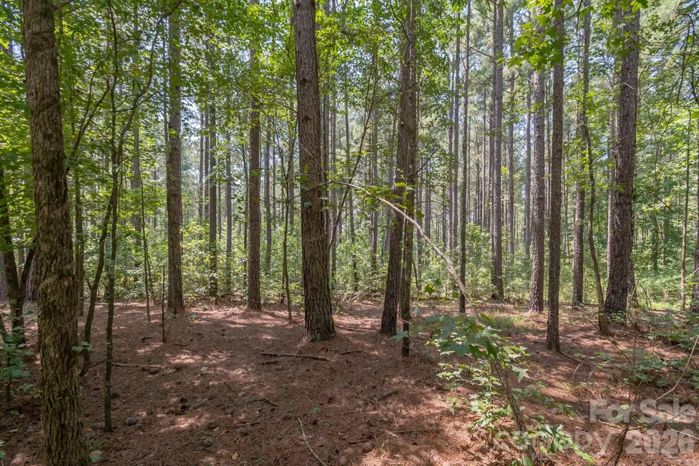 0 Riverbluff Lane Lilesville, NC 28091