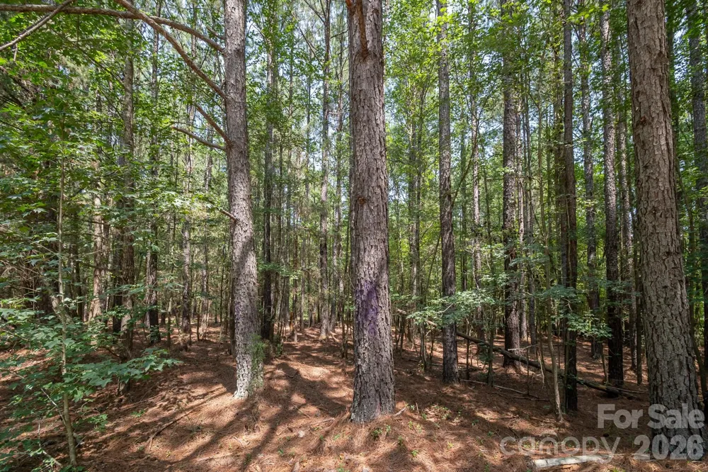 0 Riverbluff Lane Lilesville, NC 28091