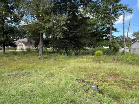 23923 Paper Wasp Lane