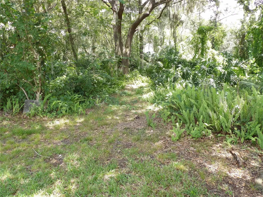 6282 FORESTWOOD DRIVE E Lakeland, FL 33811