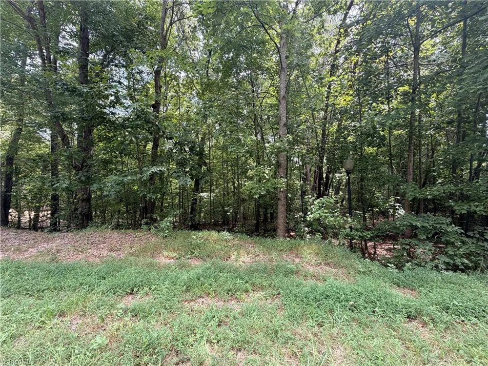169 Glenrobin Drive Eden, NC 27288