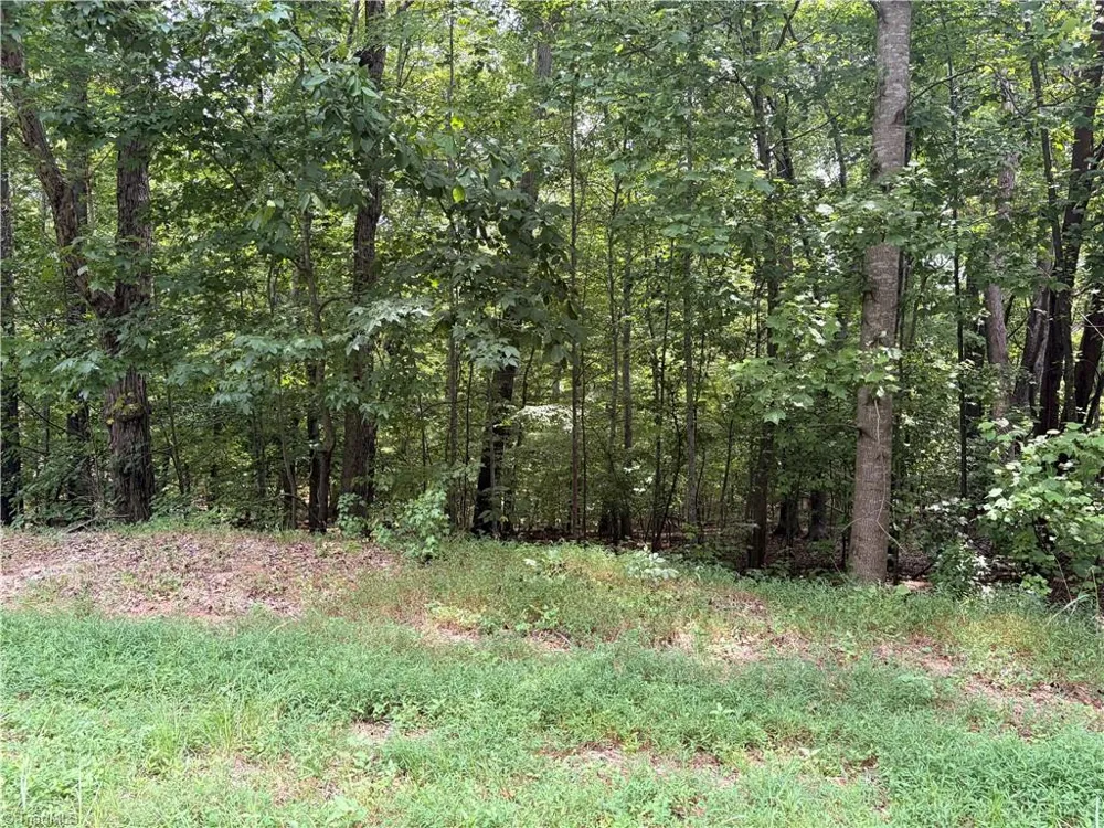 169 Glenrobin Drive Eden, NC 27288