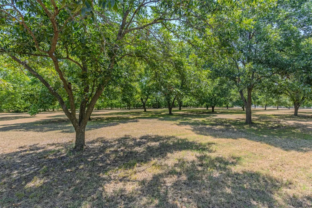 4886 White Rock Lone Oak, TX 75453