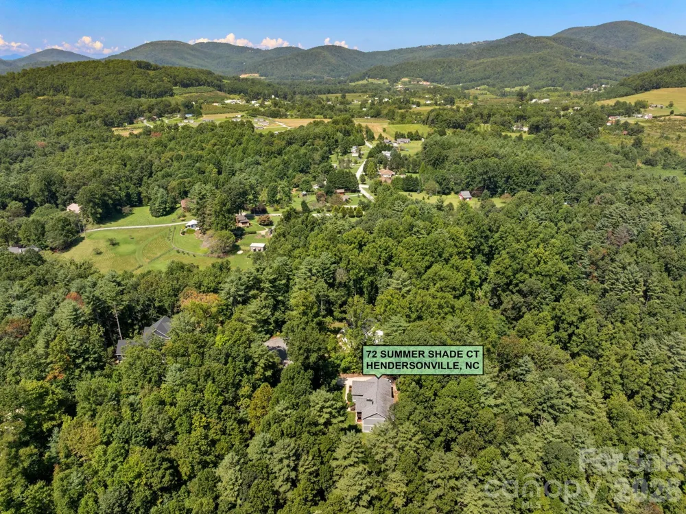 72 Summer Shade Court Hendersonville, NC 28792