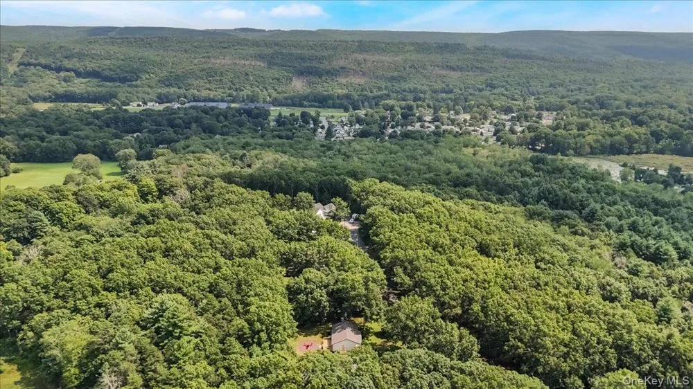 55 Somarelli Road Huguenot, NY 12746