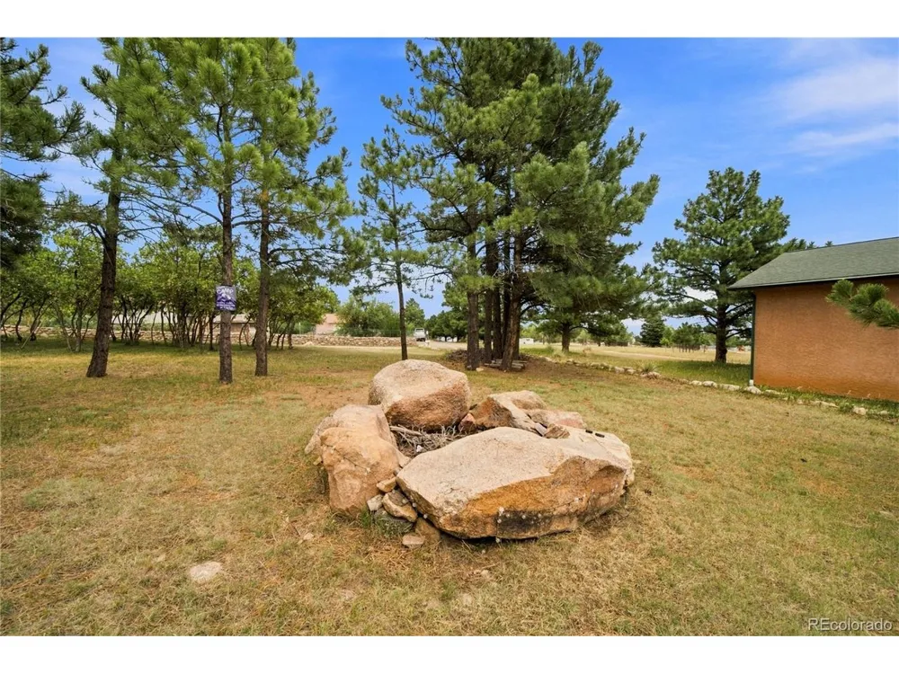 8087 Oak Drive Rye, CO 81069