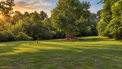 0 Fox Ridge Dr