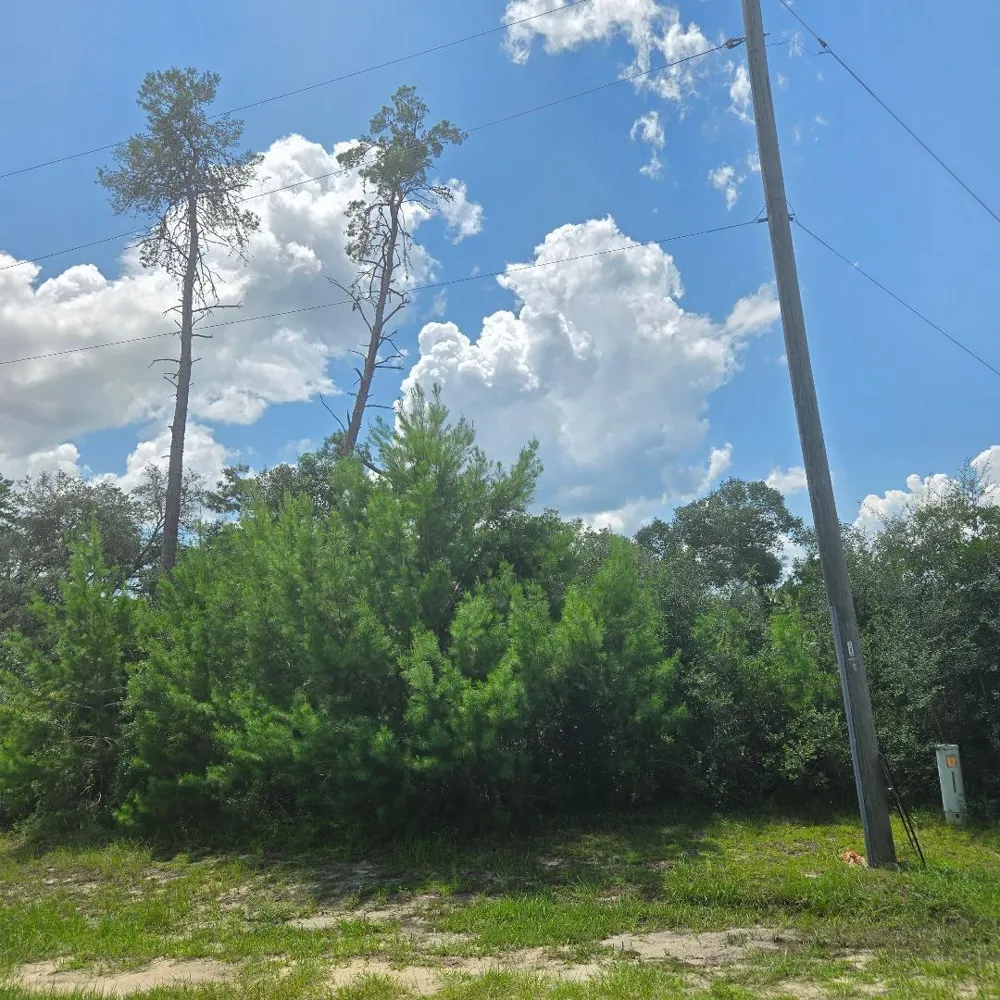 TBD SW 22ND TERR RD ocala, FL 34473