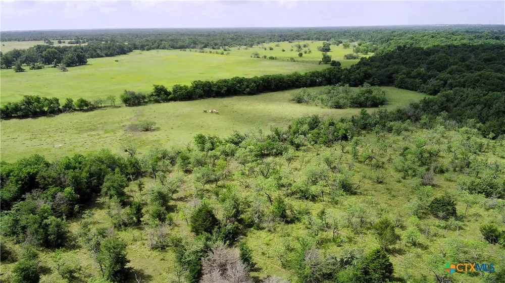 LCR 663 Kosse, TX 76653