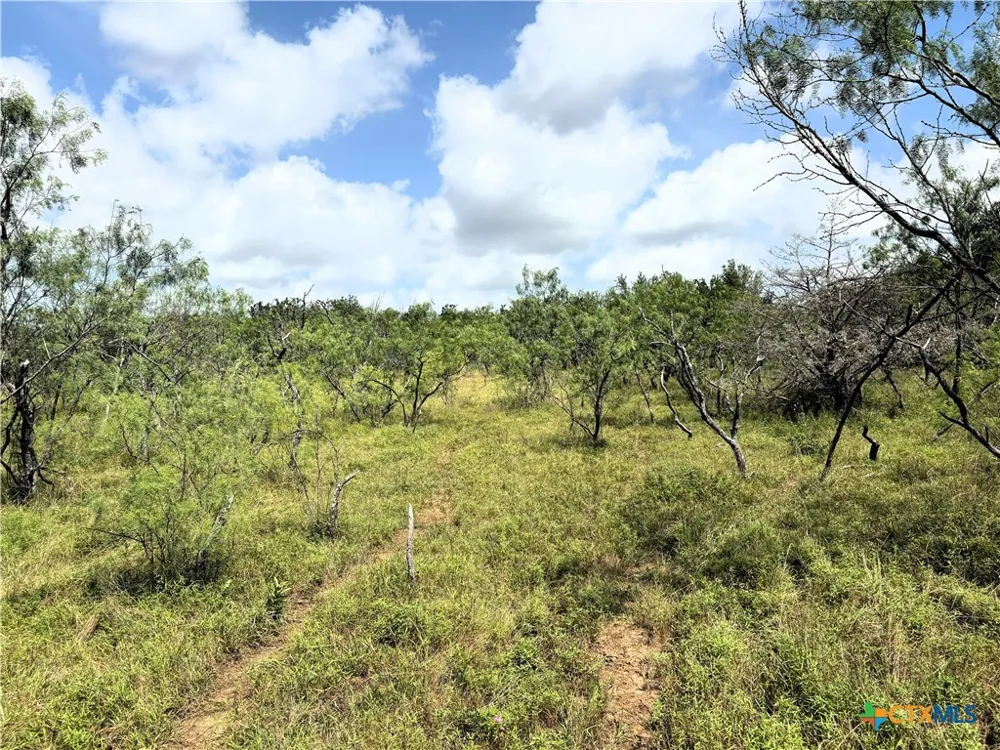 LCR 663 Kosse, TX 76653