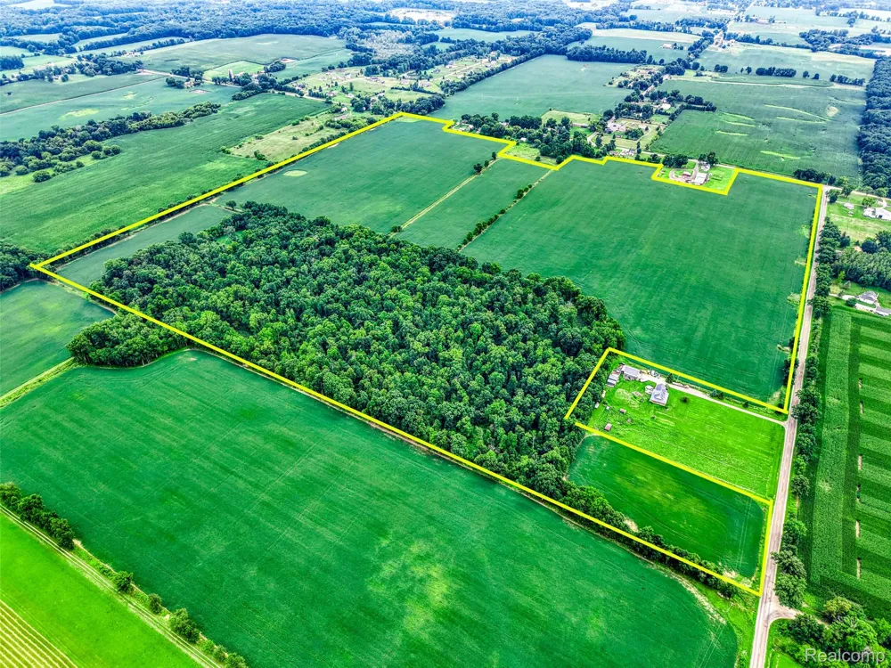 Elliott Road Iosco Township, MI 48836