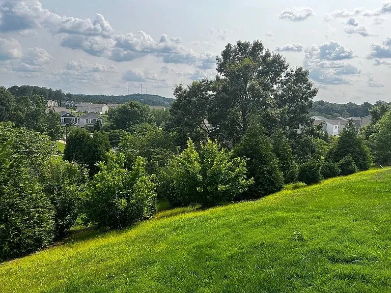 858 Longleaf Ln Columbia, TN 38401