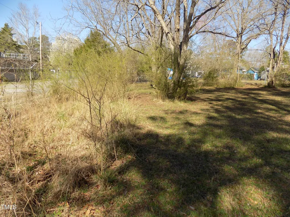 303 King Street Louisburg, NC 27549