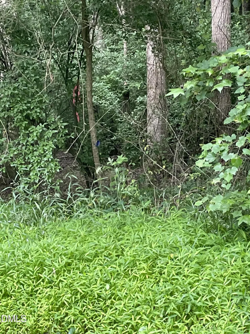 00 Pleasant Hill Church Road Siler City, NC 27344