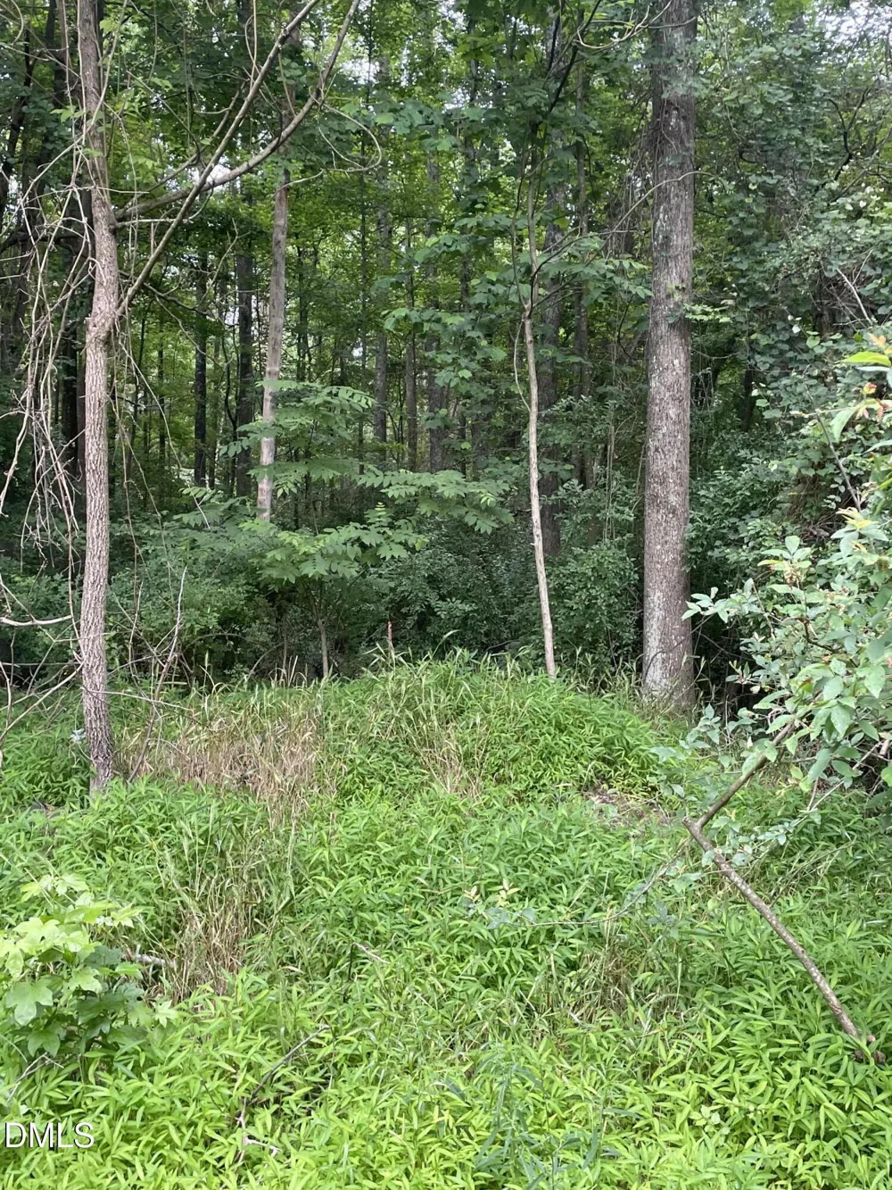 00 Pleasant Hill Church Road Siler City, NC 27344