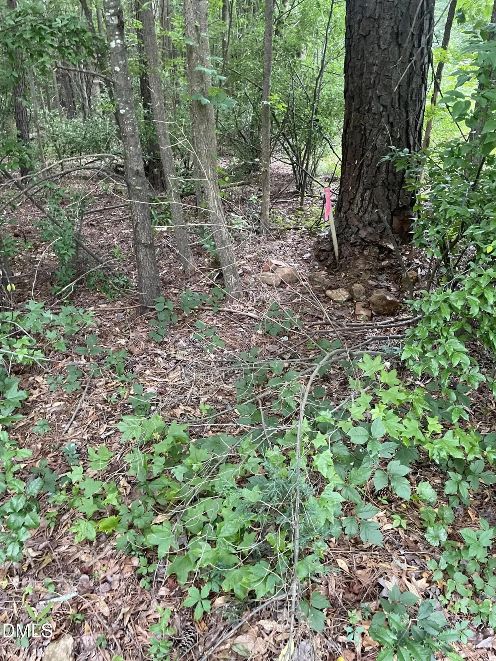 00 Pleasant Hill Church Road Siler City, NC 27344