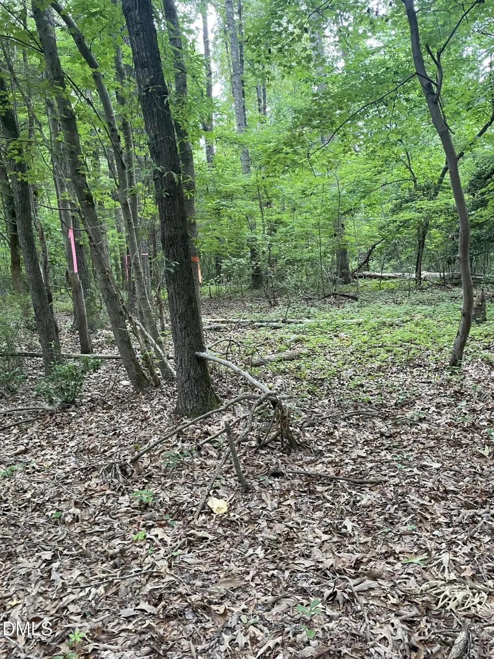 00 Pleasant Hill Church Road Siler City, NC 27344