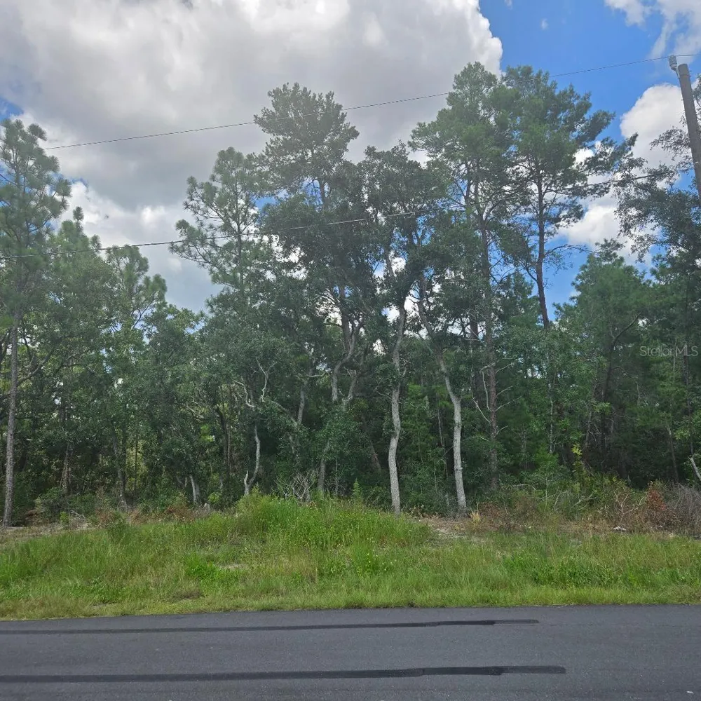 TBD SW 62ND CT ocala, FL 34470