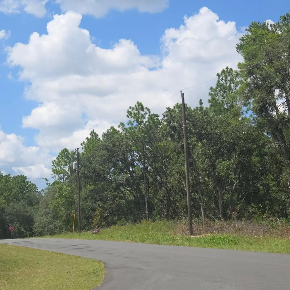 TBD SW 62ND CT ocala, FL 34470
