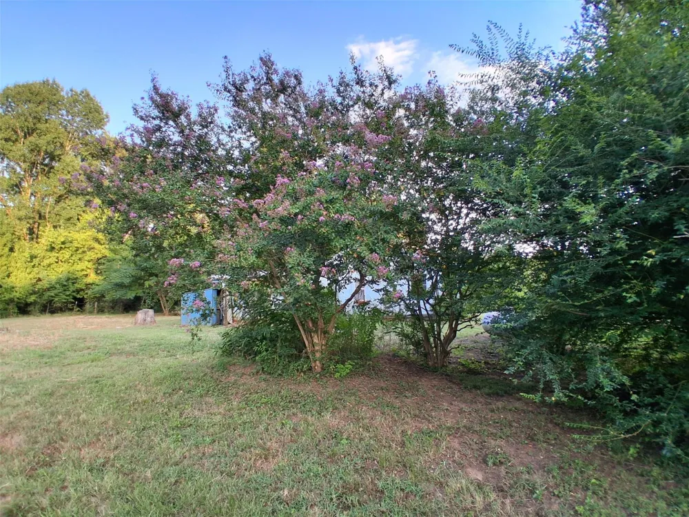 161 An County Road 126 Elkhart, TX 75839