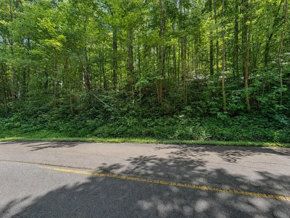 0 Johnson Valley Road Philadelphia, TN 37846