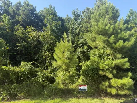 2303 County Road 3405