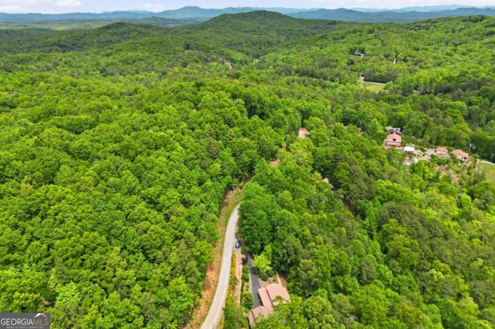 946 Laurel CIR Blue Ridge, GA 30513