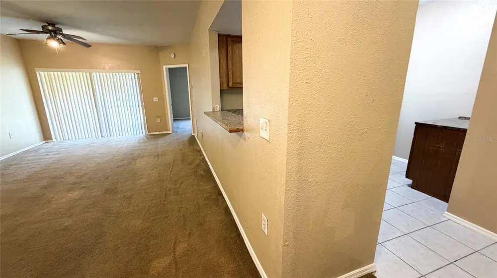 9523 GROVEDALE CIRCLE #101 Riverview, FL 33578