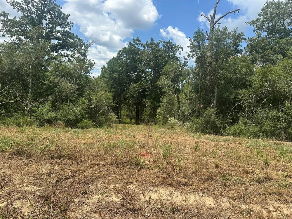 Tbd County Road 322 Jewett, TX 75846