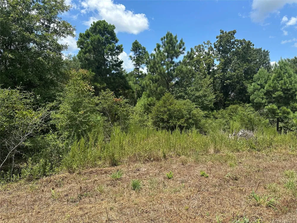 Tbd County Road 322 Jewett, TX 75846