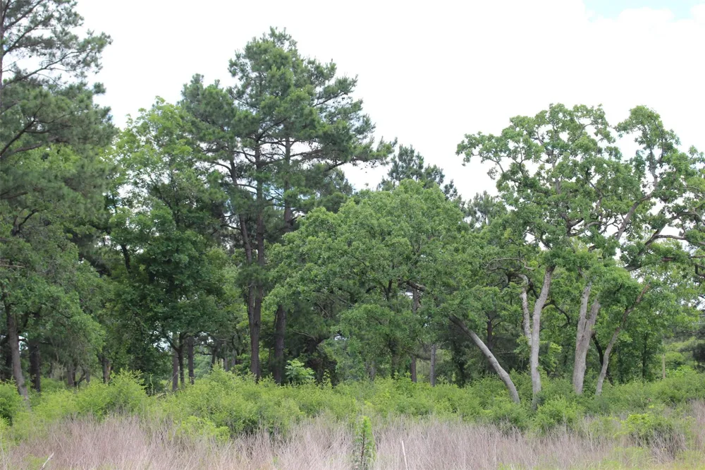 42 Private Road 1316 Centerville, TX 75833