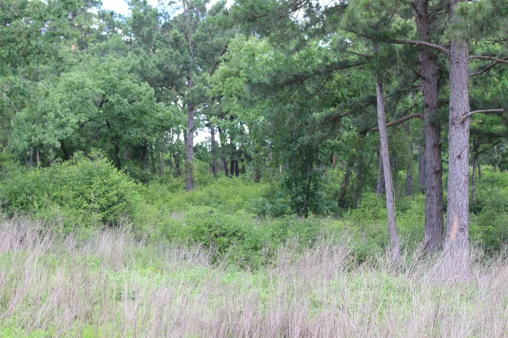 42 Private Road 1316 Centerville, TX 75833