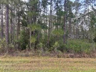 310&312 (BLK368 LOTS 5&6) ALBA DRIVE Indian Lake Estates, FL 33855