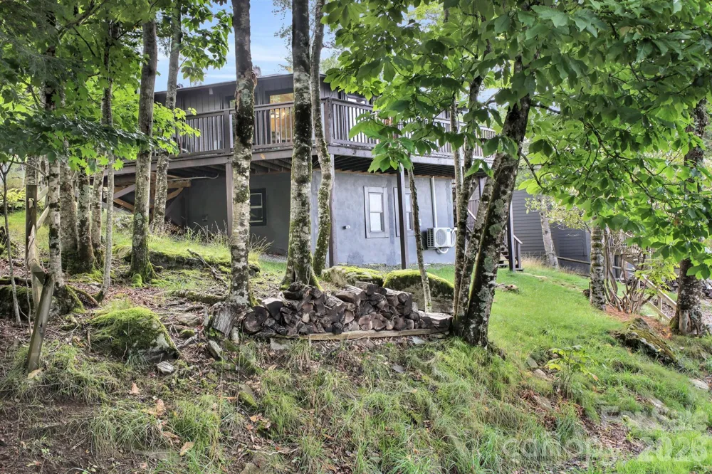 119 Beechwood Lane Beech Mountain, NC 28604