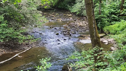 0 Tumbling Creek Road