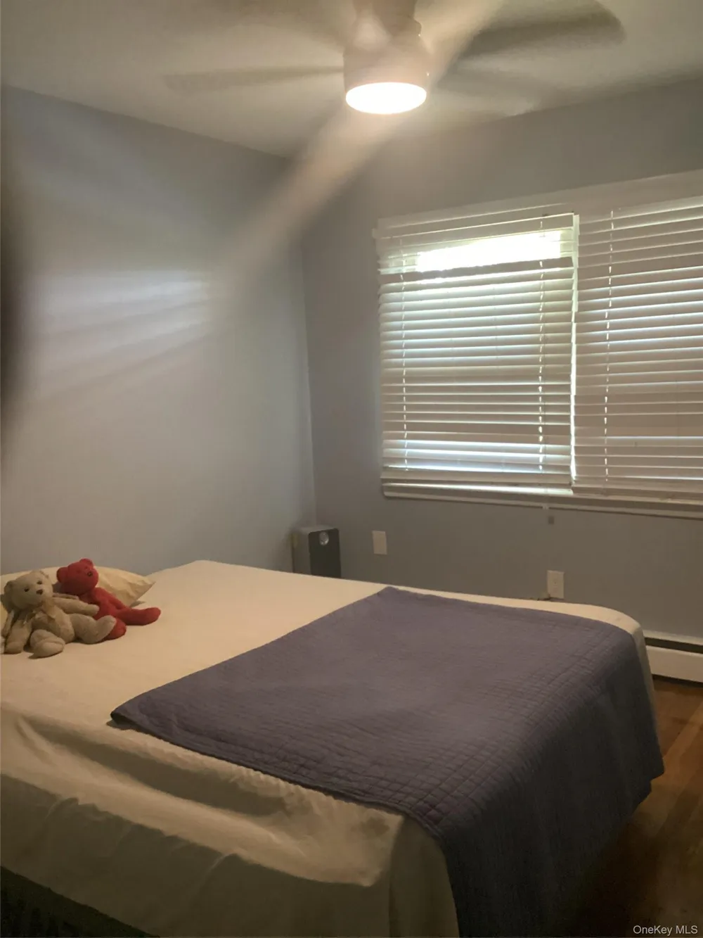 770 Allwyn Street Baldwin, NY 11510