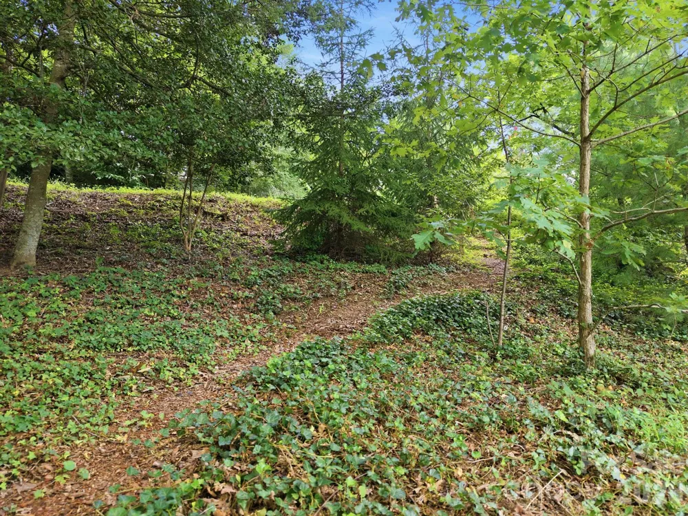 45 Woodvale Avenue Asheville, NC 28804