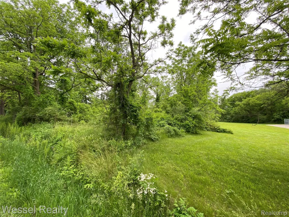 31 Mile Road Washington Township, MI 48095