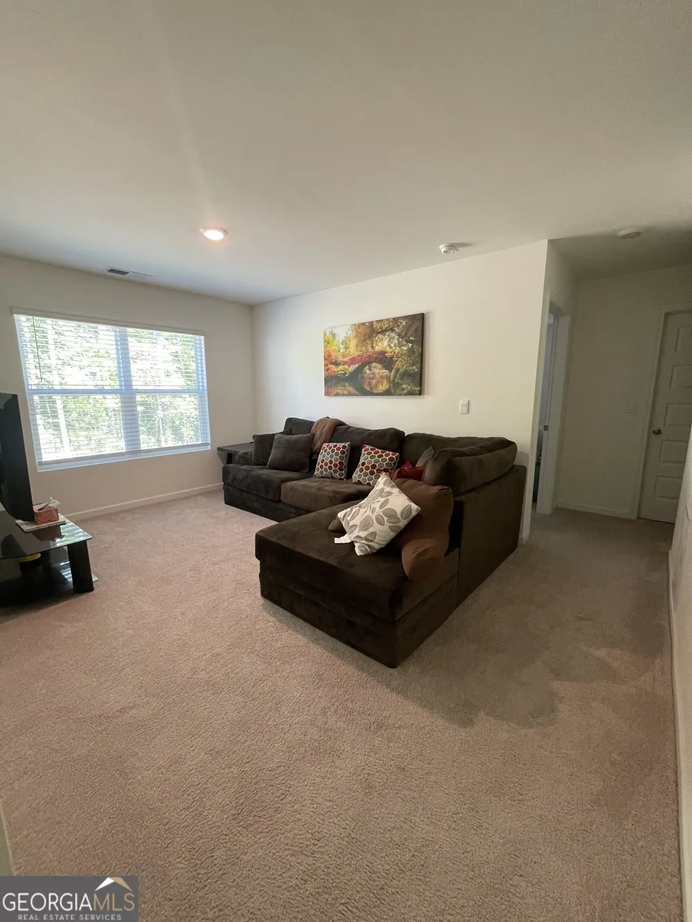 205 Sullivan ST Hampton, GA 30228