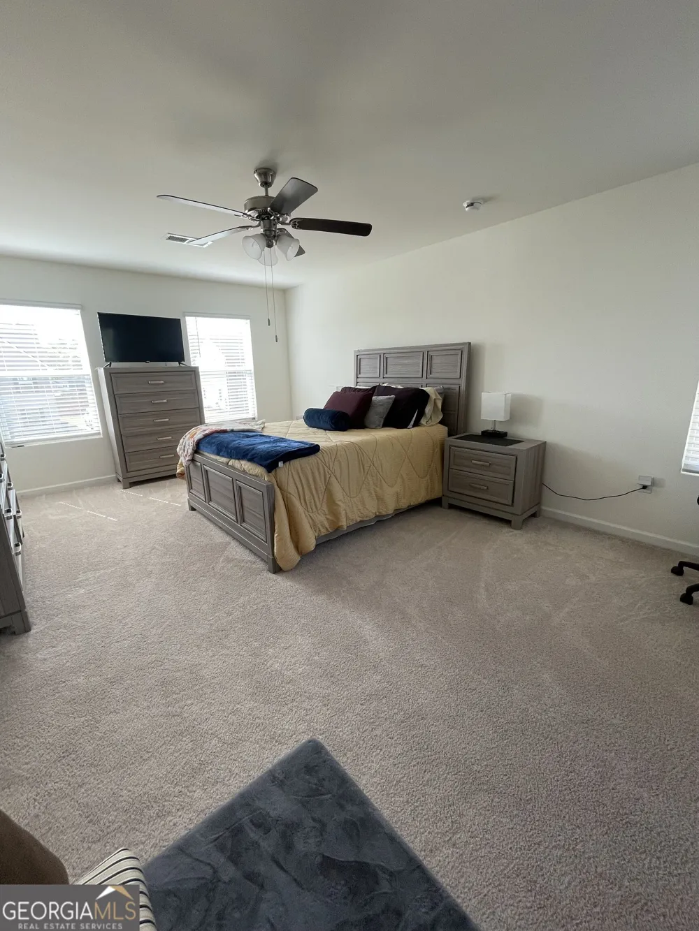 205 Sullivan ST Hampton, GA 30228