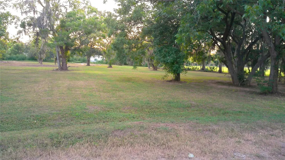County Road 507 Brazoria, TX 77422