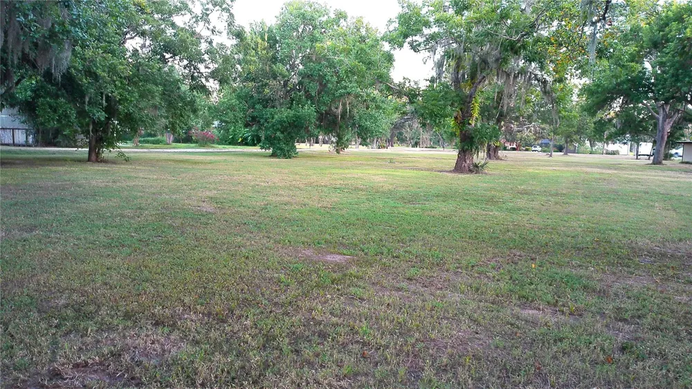County Road 507 Brazoria, TX 77422