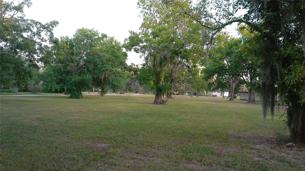 County Road 507 Brazoria, TX 77422