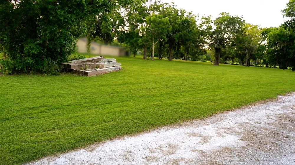 County Road 507 Brazoria, TX 77422