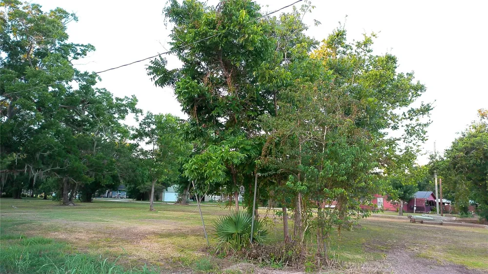 County Road 507 Brazoria, TX 77422