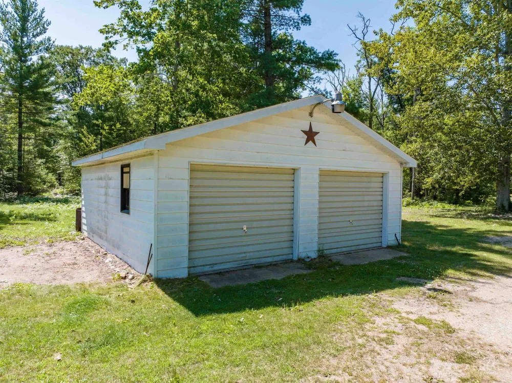 4809 E County Line Road Goodar Township, MI 48761