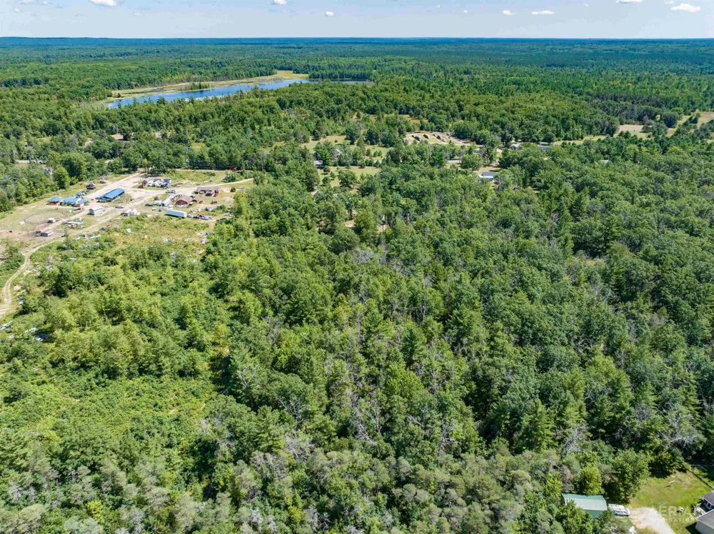 4809 E County Line Road Goodar Township, MI 48761