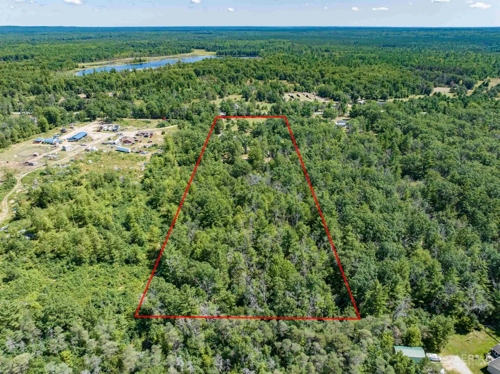 4809 E County Line Road Goodar Township, MI 48761