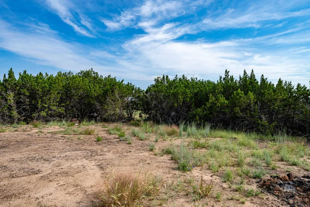 149 Antler Ridge Tuscola, TX 79562