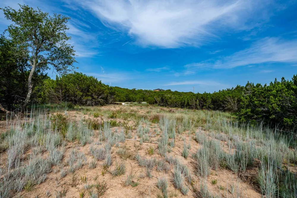 149 Antler Ridge Tuscola, TX 79562
